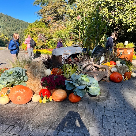 Meet your Posher, Rachael - Picture 10 of 14